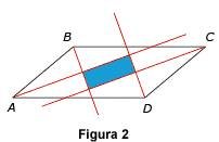 triangulo rectangulo