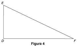triangulos rectangulos